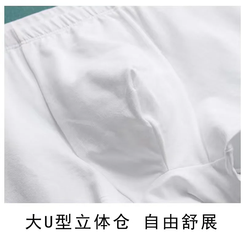 Men's Disposable Cotton Boxer Briefs, Travel, Breathable photo 4 (style SM-F80EF2)